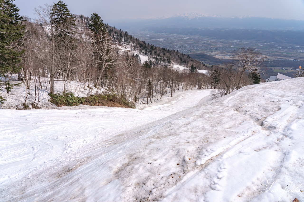 富良野スキー場　さすが富良野！4月24日現在、山麓までの全長約3,000ｍロングコースがオープン中(^^)/